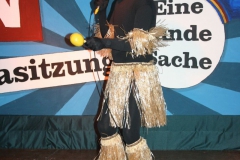 Galasitzung-2014-286